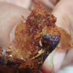 IMG_20260216_171236_119