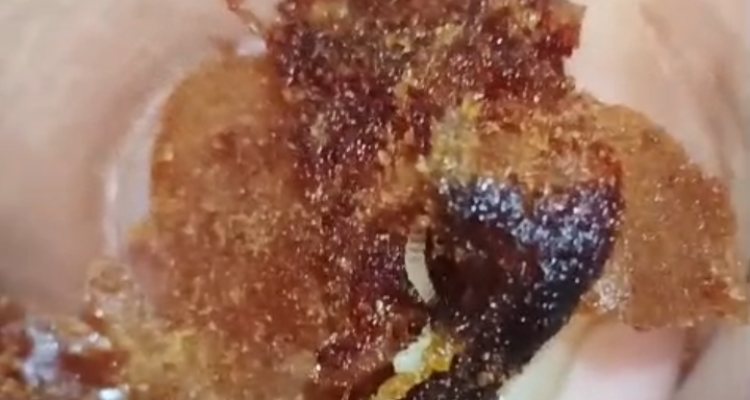 IMG_20260216_171236_119